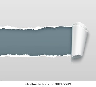 Vector Realistic Torn And Twisted Paper Strip On Light Gray Background