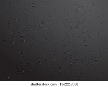 vector realistic transparent water drops on a black background