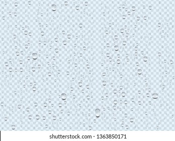 vector realistic transparent water drops