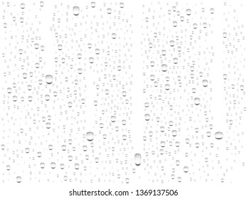 vector realistic transparent water drops