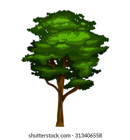 vector realistic tree illustration with green leaves in oval form