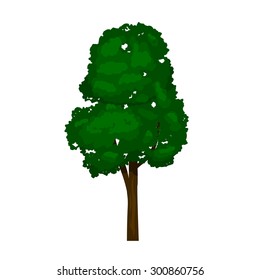 vector realistic tree illustration with realistic leaves texture