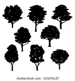 vector realistic tree silhouette drawings in black