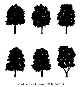 vector realistic tree silhouette drawings in black