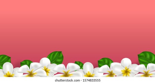 Vector realistic tropical hawaiian flower plumeria. White-yellow color frangipani on a coral color background. Summer paradise. Botanical nature illustration for banner and cards. Floral frame