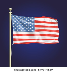 Vector Realistic United States Flag