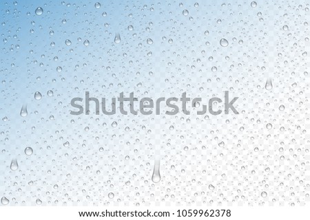 Vector realistic water drops condensed on transparent background. Rain droplets without shadows for transparent surface. Pure water bubbles isolated. Many forms and sizes.