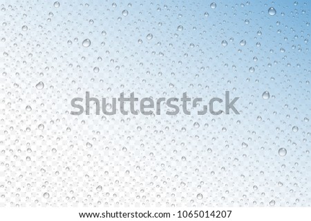 Vector realistic water drops condensed on transparent background. Rain droplets without shadows for transparent surface. Pure water bubbles isolated. Many forms and sizes.