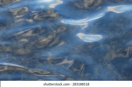 vector realistic water texture to use as a background foe websites or other media