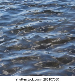 vector realistic water texture to use as a background foe websites or other media