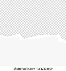 Vector Realistic White Blank Torn Ripped Paper Background. Design Template for Banner, Paper Art