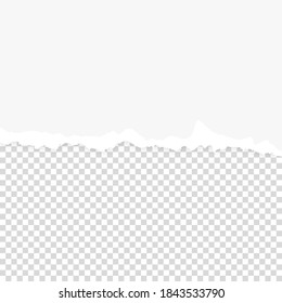 Vector Realistic White Blank Torn Ripped Paper Background. Design Template for Banner, Paper Art