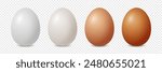 Vector Realistic White and Brown Chicken Egg Icon Set Closeup Isolated. Glossy Chicken Eggs. Vector Different Color Whole Eggs. Front View