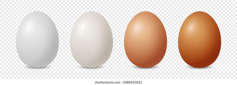 Vector Realista Blanco y Marrón Huevo de Pollo Conjunto de Iconos de Primer Plano Aislado. Huevos De Pollo Brillantes. Vector Huevos Enteros De Diferente Color. Vista frontal