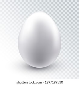 Vector realistic white chicken egg with shadow isolated on transparent background