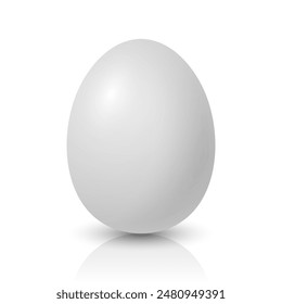 Vector Realistic White Chicken Egg Icon Closeup Isolated. Glossy Chicken Egg. Vector Whole Egg with Reflection. Front View