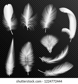 29,987 Feathers 3d Images, Stock Photos & Vectors | Shutterstock