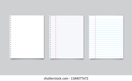 Vector realistic white paper and lined paper with shadow