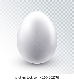 Vector realistic white textured chicken egg with shadow isolated on transparent background. Easter design element