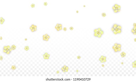 Vector Realistic Yellow Flowers Falling on Transparent Background.  Spring Romantic Flowers Illustration. Flying Petals. Sakura Spa Design.  Blossom Confetti. Design Elements for  Mother's Day.