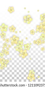 Vector Realistic Yellow Flowers Falling on Transparent Background.  Spring Romantic Flowers Illustration. Flying Petals. Sakura Spa Design.  Blossom Confetti. Design Elements for  Wedding Decoration.
