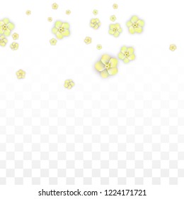 Vector Realistic Yellow Flowers Falling on Transparent Background.  Spring Romantic Flowers Illustration. Flying Petals. Sakura Spa Design.  Blossom Confetti. Design Elements for  St. Valentine Day.
