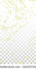 Vector Realistic Yellow Flowers Falling on Transparent Background.  Spring Romantic Flowers Illustration. Flying Petals. Sakura Spa Design.  Blossom Confetti. Design Elements for  St. Valentine Day.
