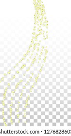Vector Realistic Yellow Flowers Falling on Transparent Background.  Spring Romantic Flowers Illustration. Flying Petals. Sakura Spa Design.  Blossom Confetti. Design Elements for  Wedding Decoration.