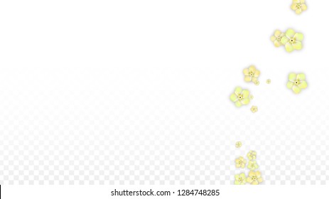 Vector Realistic Yellow Flowers Falling on Transparent Background.  Spring Romantic Flowers Illustration. Flying Petals. Sakura Spa Design.  Blossom Confetti. Design Elements for  Wedding Decoration.