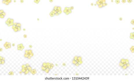 Vector Realistic Yellow Flowers Falling on Transparent Background.  Spring Romantic Flowers Illustration. Flying Petals. Sakura Spa Design.  Blossom Confetti. Design Elements for  8 March Card.