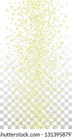 Vector Realistic Yellow Flowers Falling on Transparent Background.  Spring Romantic Flowers Illustration. Flying Petals. Sakura Spa Design.  Blossom Confetti. Design Elements for  Poster Design. 