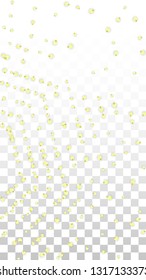 Vector Realistic Yellow Flowers Falling on Transparent Background.  Spring Romantic Flowers Illustration. Flying Petals. Sakura Spa Design.  Blossom Confetti. Design Elements for  St. Valentine Day.