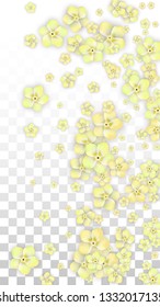 Vector Realistic Yellow Flowers Falling on Transparent Background.  Spring Romantic Flowers Illustration. Flying Petals. Sakura Spa Design.  Blossom Confetti. Design Elements for  8 March Card.