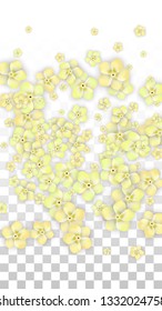 Vector Realistic Yellow Flowers Falling on Transparent Background.  Spring Romantic Flowers Illustration. Flying Petals. Sakura Spa Design.  Blossom Confetti. Design Elements for  St. Valentine Day.