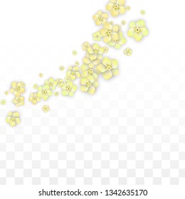 Vector Realistic Yellow Flowers Falling on Transparent Background.  Spring Romantic Flowers Illustration. Flying Petals. Sakura Spa Design.  Blossom Confetti. Design Elements for  Wedding Decoration.