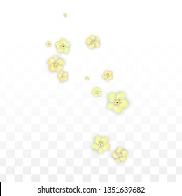 Vector Realistic Yellow Flowers Falling on Transparent Background.  Spring Romantic Flowers Illustration. Flying Petals. Sakura Spa Design.  Blossom Confetti. Design Elements for  St. Valentine Day.
