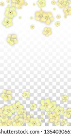 Vector Realistic Yellow Flowers Falling on Transparent Background.  Spring Romantic Flowers Illustration. Flying Petals. Sakura Spa Design.  Blossom Confetti. Design Elements for  Poster Design. 