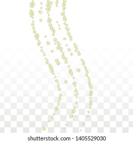 Vector Realistic Yellow Flowers Falling on Transparent Background.  Spring Romantic Flowers Illustration. Flying Petals. Sakura Spa Design.  Blossom Confetti. Design Elements for  Wedding Decoration.