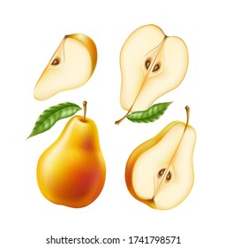 Vector realistic yellow and orange pear whole and half for organic food, drink product design. Fresh sweet fruit full of vitamins for healthy eating, diet. Natural product, fruity ripe dessert.