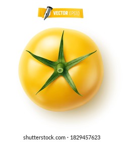 Vector realistic yellow tomato on white background