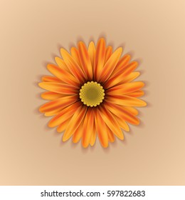 Vector realistic yellow-orange flower