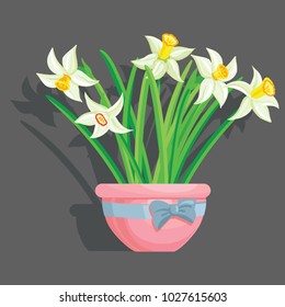 Vector realisticeaster flowers on a grey background
