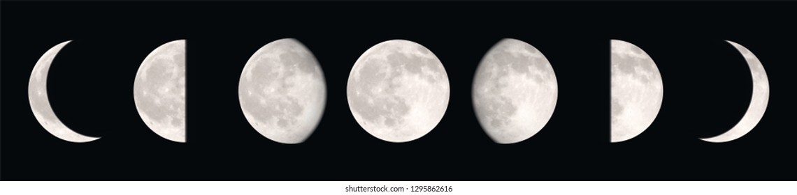 Vector realstic illustration of different moon phases 