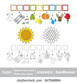 Vector rebus game. Find solution and write the hidden word Sunflower