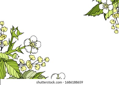 Vector rectangular horizontal postcard banner floral spring cartoon outline flowers and leaves of wild strawberry, barberry inflorescence on a white background hand-drawn copy space