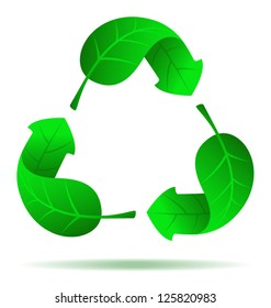 Vector recycle symbol in form of leafs, isolated on white background