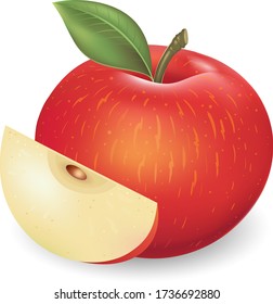 Vector Red Apple Fruit Illustration