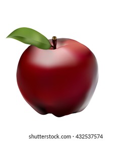 Vector red apple isolated.Vector red apple Illustrator.