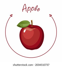Vector red apple on white isolated background . Fruit illustration for farm market menu. 