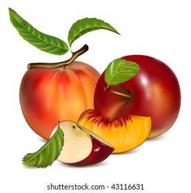 Vector. Red apples and ripe peaches.